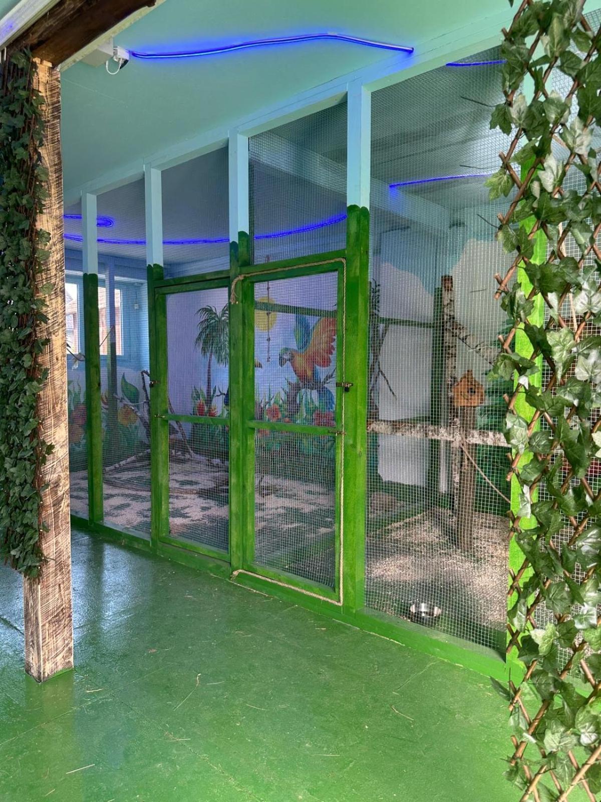 Agroturystyka Alpaka Konradow Apartment Konradow  Exterior photo